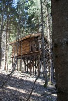 Cabanes Dans Les Arbres  Entre Terre Et Ciel