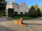 Château Le Buisson Garembourg