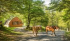 Les Chalets d'Iraty