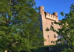 Chateau De Maisonseule