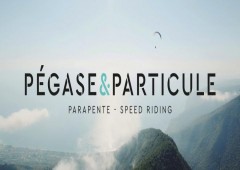 Pegase & Particule