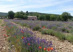 Camping de Valsaintes